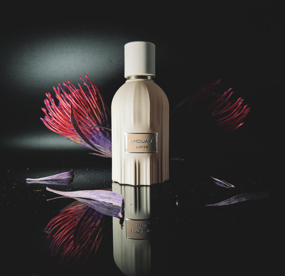 Amouage Lustre Perfume 100ml L - đánh giá và giá Perfume Fragrance Families